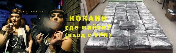 крисы Алексин