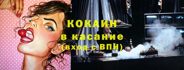 крисы Алексин