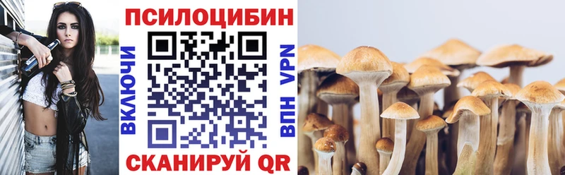 Псилоцибиновые грибы мицелий  мориарти какой сайт  Южно-Сахалинск 
