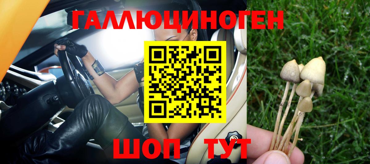 Южно-Сахалинск  Галлюциногенные грибы мицелий  Вход с VPN  Галлюциногенные грибы Cubensis 